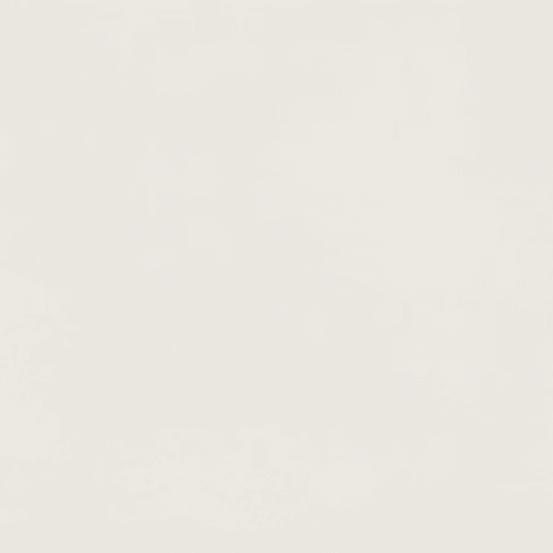 Color Story Floor in Matte Designer White-12x24 Tile
