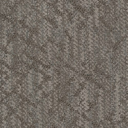 Circuitry in Birch Carpet