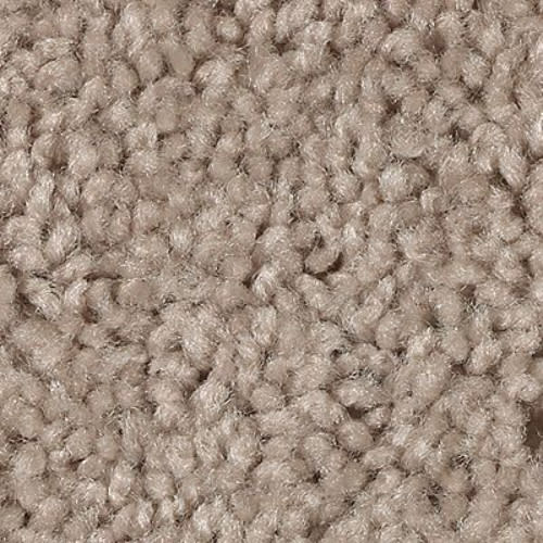 Easy Purpose in Buffed Carpet