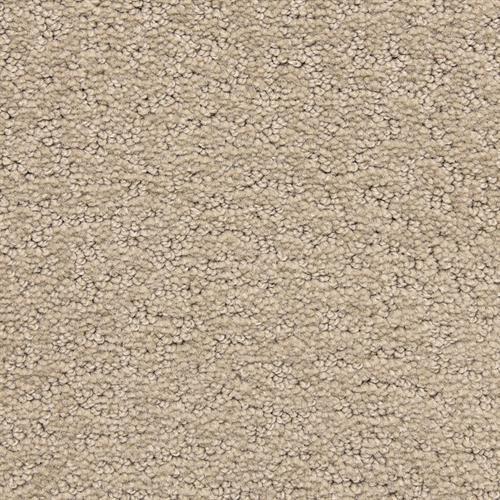 Prize Winner in Accolade Carpet