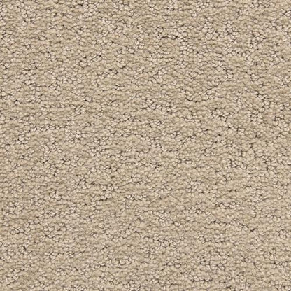 Prize Winner in Accolade Carpet