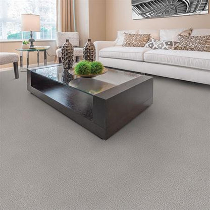 Victor in First Choice Carpet