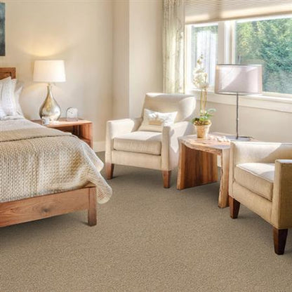 Spectrum in Silver Medal Carpet