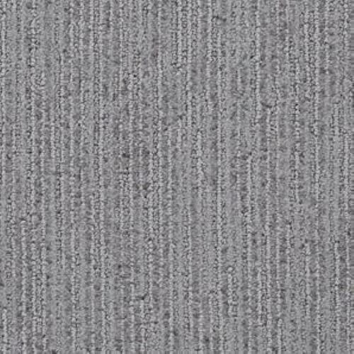 Suspicion in Shady Carpet