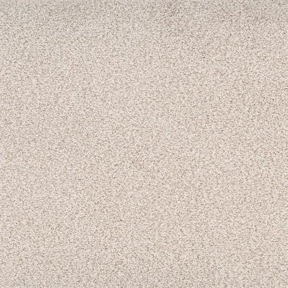 Legit in Relaxed Carpet