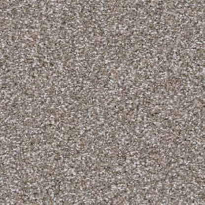 Top Dog in Dachshund Carpet