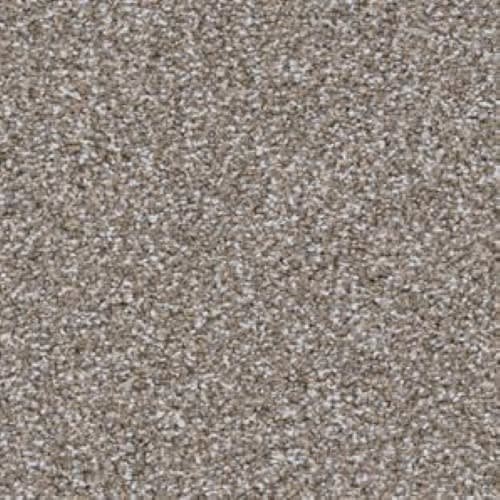 Top Dog in Dachshund Carpet