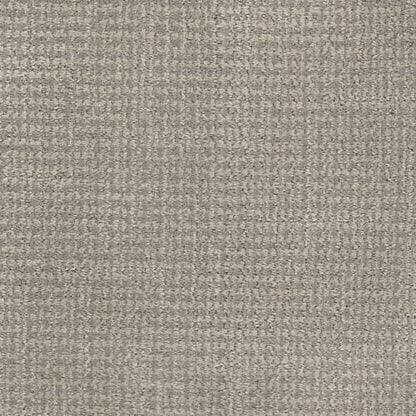 Tabby in Salem Carpet