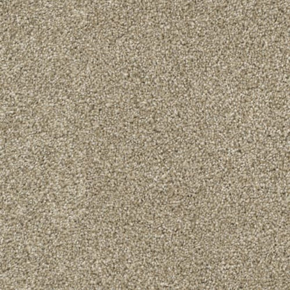 Game Plan in Pebble Carpet