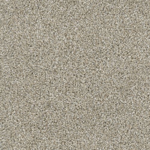 Big Idea in Opal Carpet