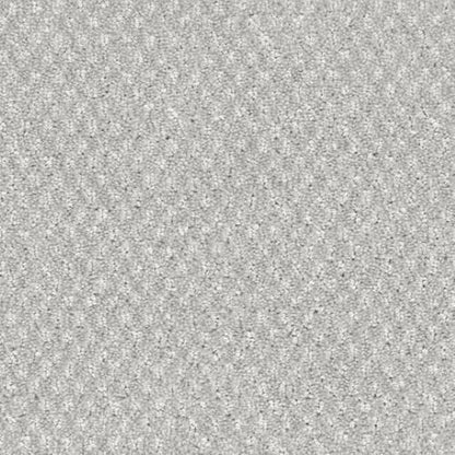 Calm in Cozy Carpet