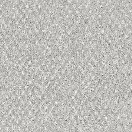 Calm in Cozy Carpet