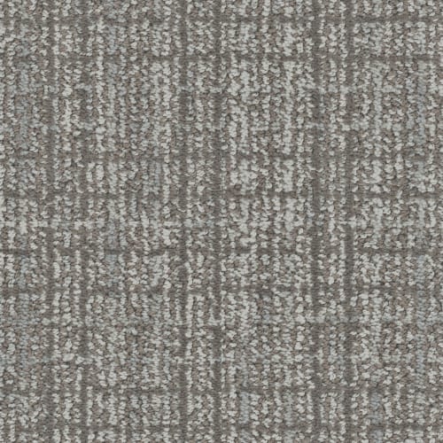 Charming in Chinchilla Carpet