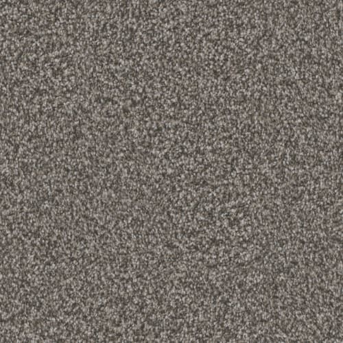 Affection in Hematite Carpet