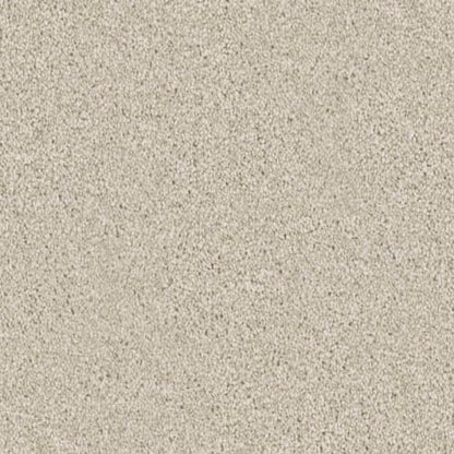 Admiration in Lace Carpet