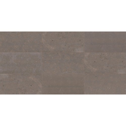Parksville Stone in Matterhorn 12x24 Natural Stone