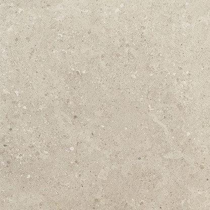 Dignitary in Notable Beige 12x24