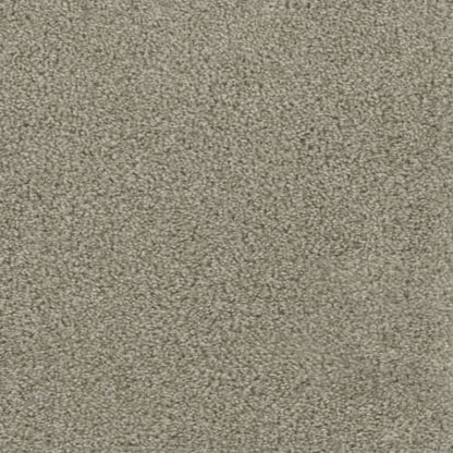 Regal Touch in Plaster Carpet