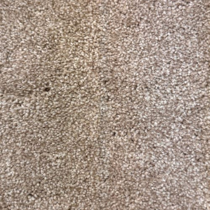 DX835 in Wheat Carpet