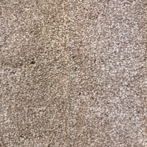 DX835 in Wheat Carpet
