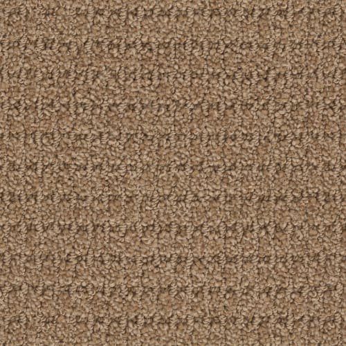 Trace in Rich Maple Carpet