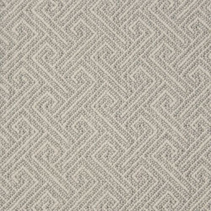 Demetrius in Chrome Carpet