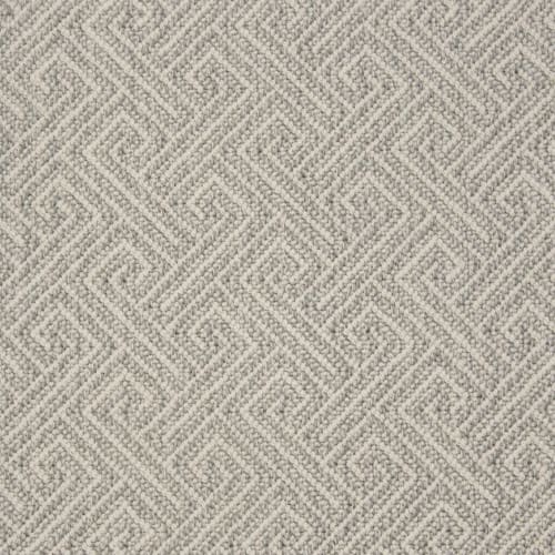 Demetrius in Chrome Carpet