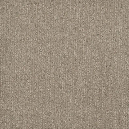 SURFSIDE in Desert Flower Carpet