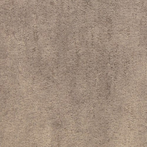 Desert Vista