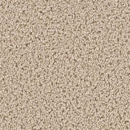 Top Star in Eggshell Carpet
