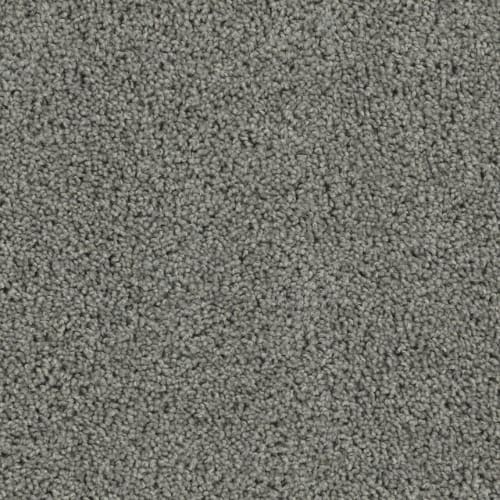 Daredevil in Bayside Carpet