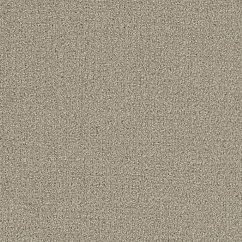 Comfort Zone in Moon Mist Carpet