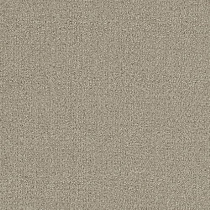 Comfort Zone in Moon Mist Carpet