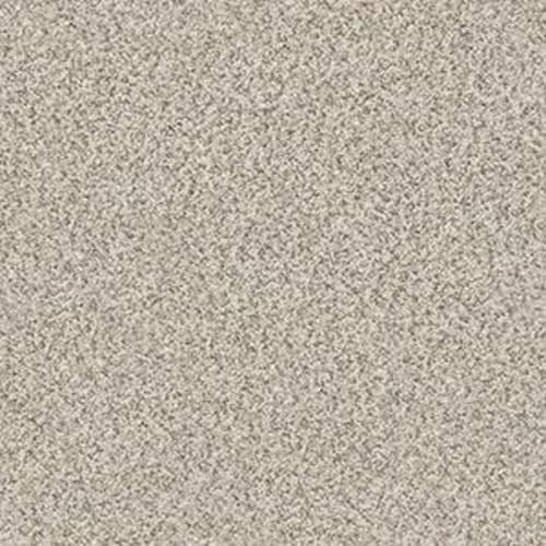 MAKE IT WORK in Nature's Essent Carpet