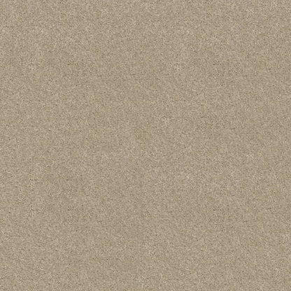 CABANA LIFE SOLID in Sugar Cookie Carpet