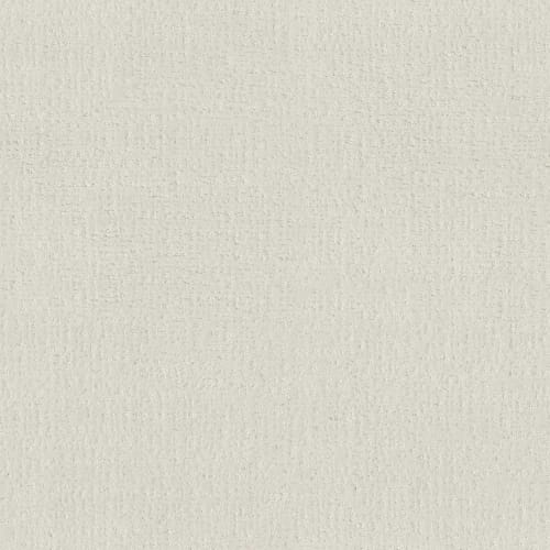 ENDLESS MEMORIES in Clean Linen Carpet