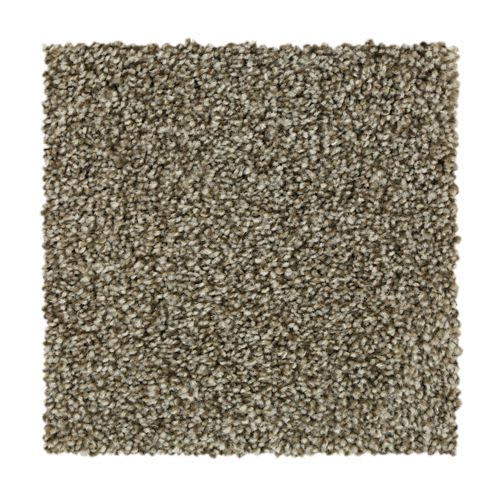 Polished Shades II