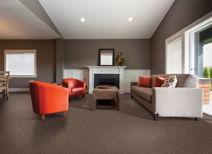 Polished Shades II in Native Soul Carpet