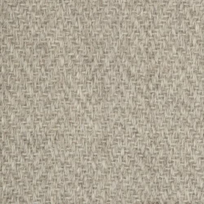 Elegance in Platinum Carpet
