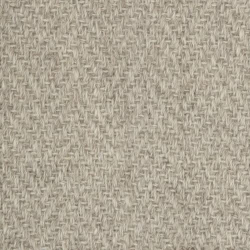 Elegance in Platinum Carpet