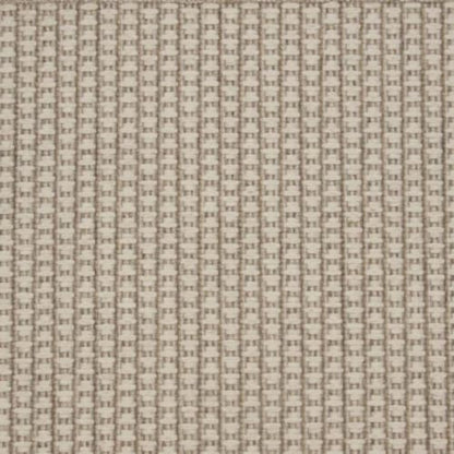 Eternal in Desert Carpet