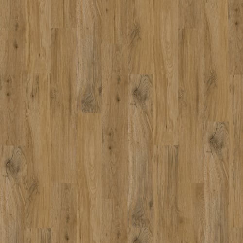 Devan in Graze Luxury Vinyl