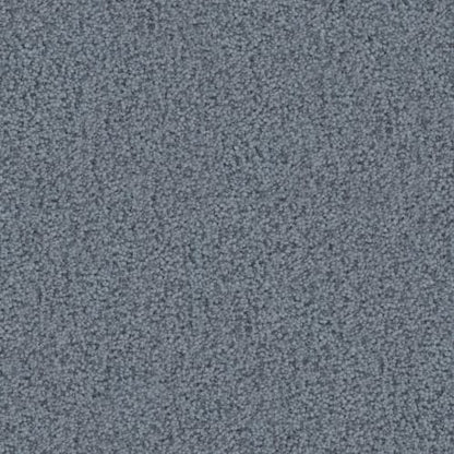 Element in Sky Carpet