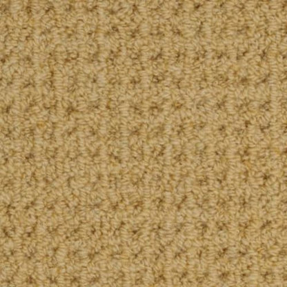 Etchings in Carina Carpet