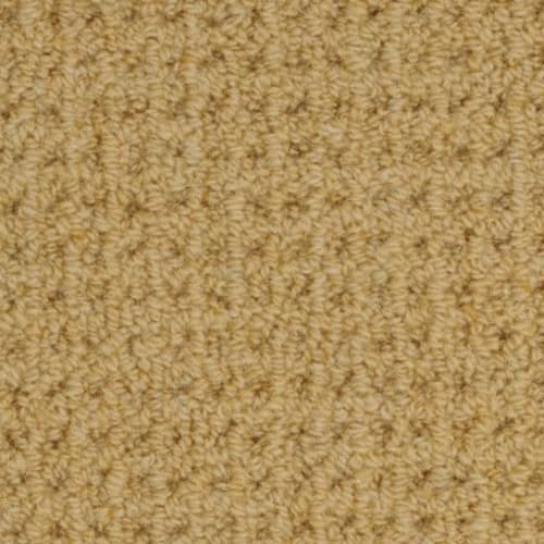 Etchings in Carina Carpet