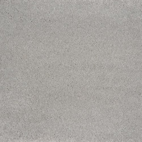 Evolve in Chrome Carpet