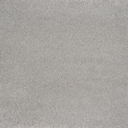 Evolve in Chrome Carpet