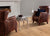 Chateau in Dourdan Hardwood