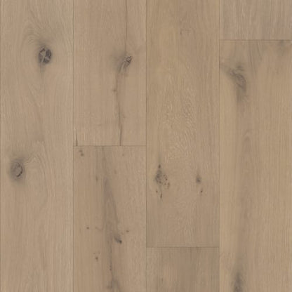 Chateau in Allier Oak