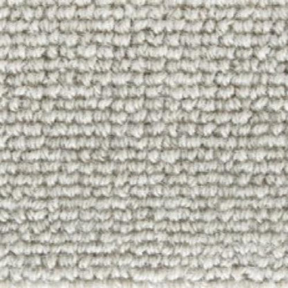 Forester in Dove Carpet
